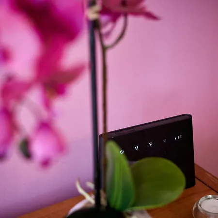 Apartman Capo - Old Town - Parking *