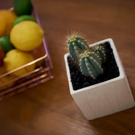 Capo - Old Town - Parking Trogir