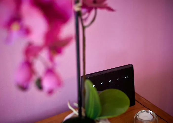 Appartement Capo - Old Town - Parking *