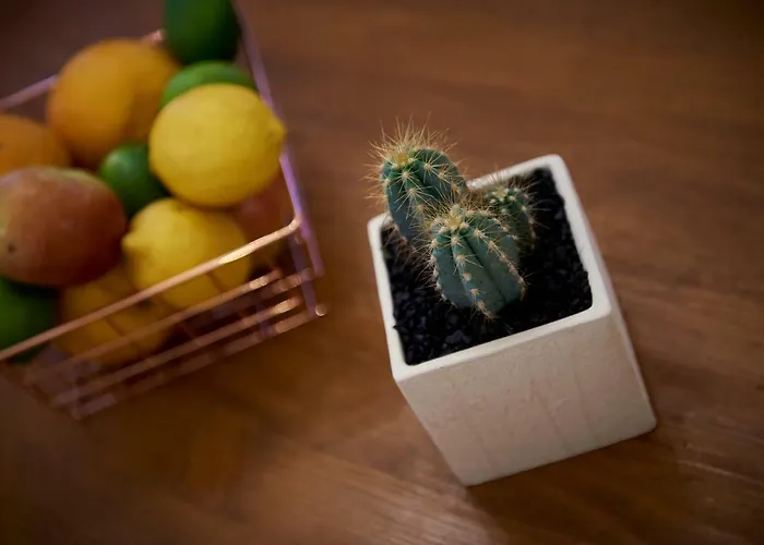 Capo - Old Town - Parking トロギール